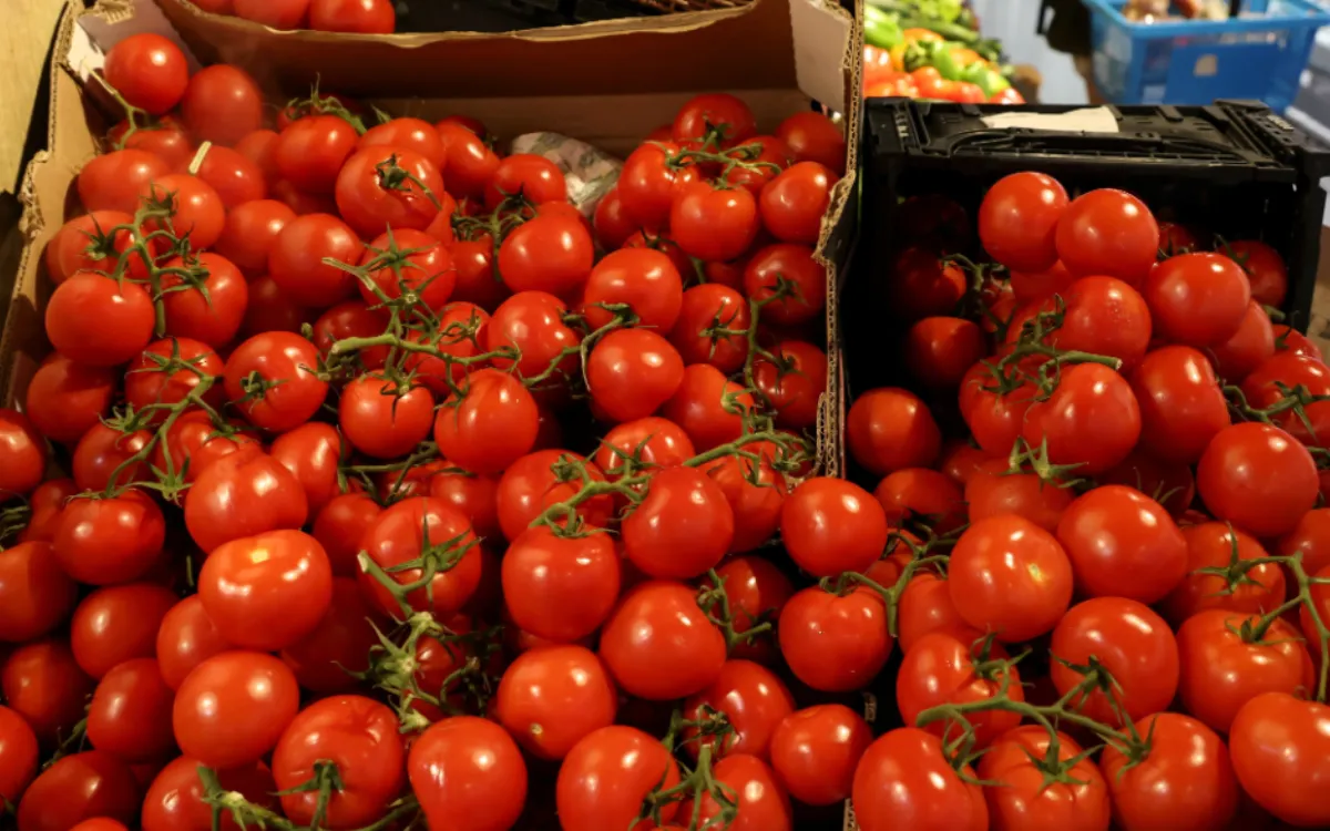Hasta 7,45 euros en Francia, 1,89 euros por los tomates de Marruecos