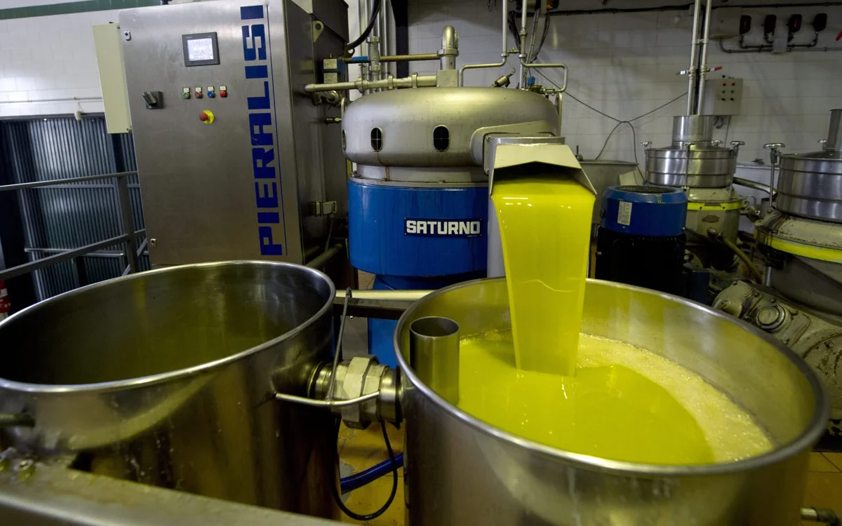Aceite de oliva : un gigante español amenaza con deslocalizar la producción a Marruecos