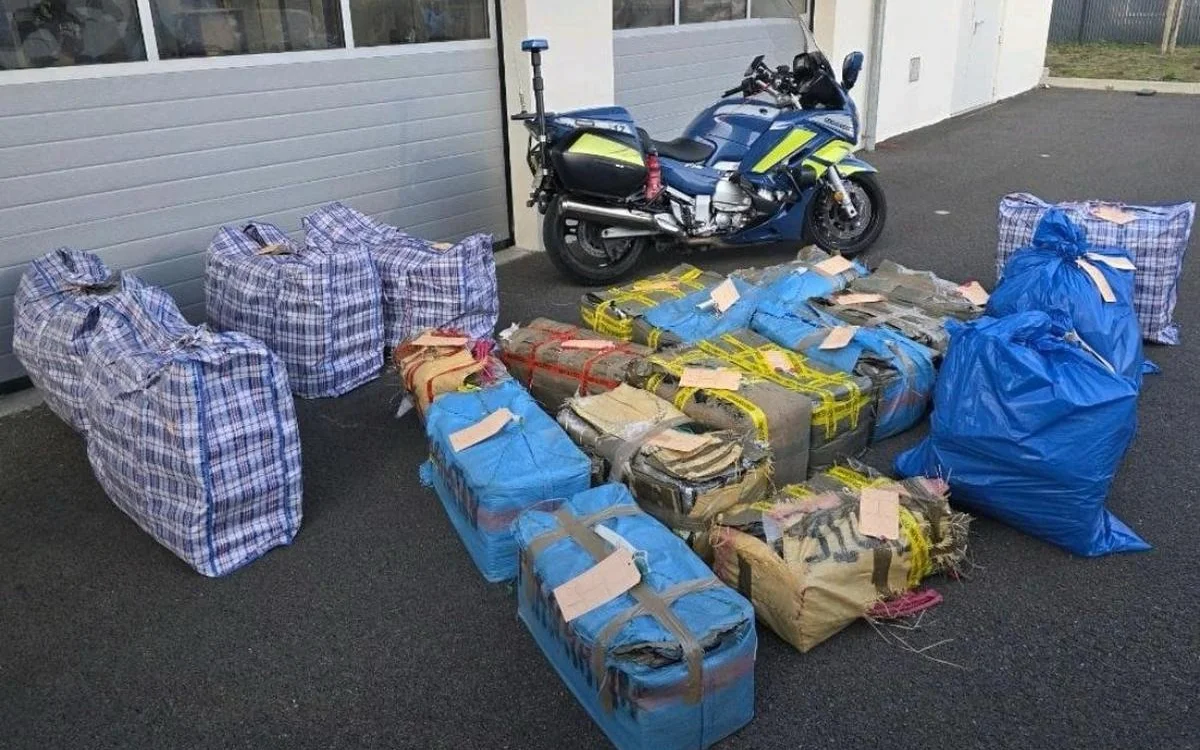 Acusado de dirigir una "granja de producción" en Marruecos, el "jefe" es absuelto por falta de pruebas