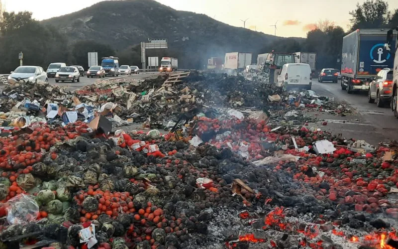 Agricultores franceses bloquean importación de tomates marroquíes en Perpiñán