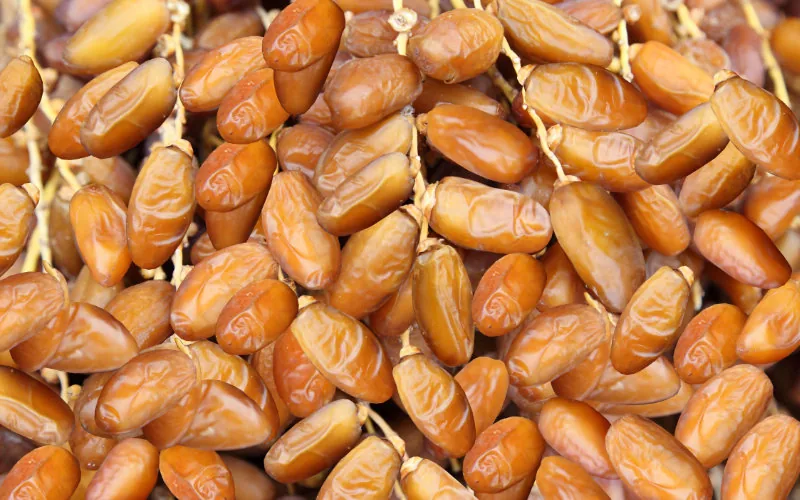Alerta en Marruecos : Dátiles argelinos ilegales invaden mercados antes del Ramadán