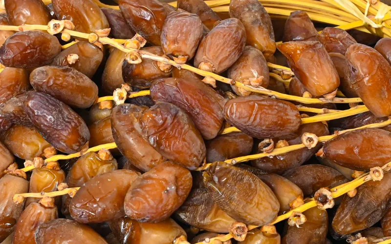 Alerta en Marruecos : Dátiles argelinos invaden el mercado antes del Ramadán
