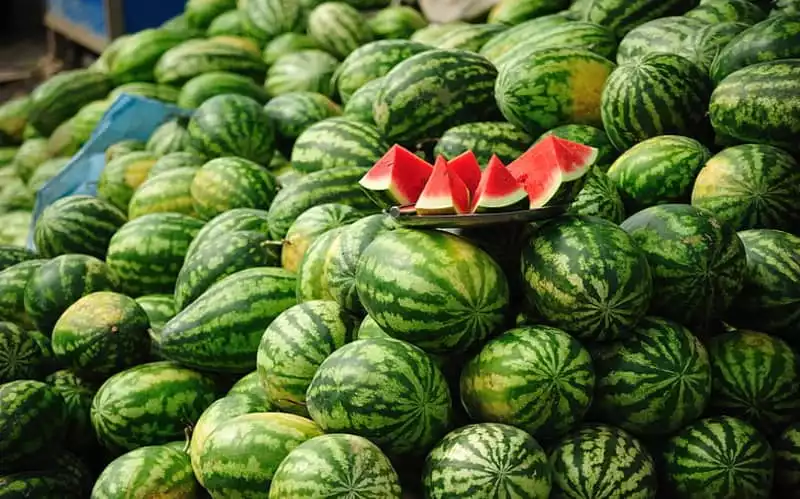 Alerta en el mercado : Importaciones de sandía marroquí se disparan un 643% en España