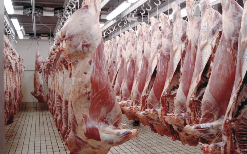Alerta sanitaria : Ministro del Interior defiende la calidad de la carne marroquí ante críticas