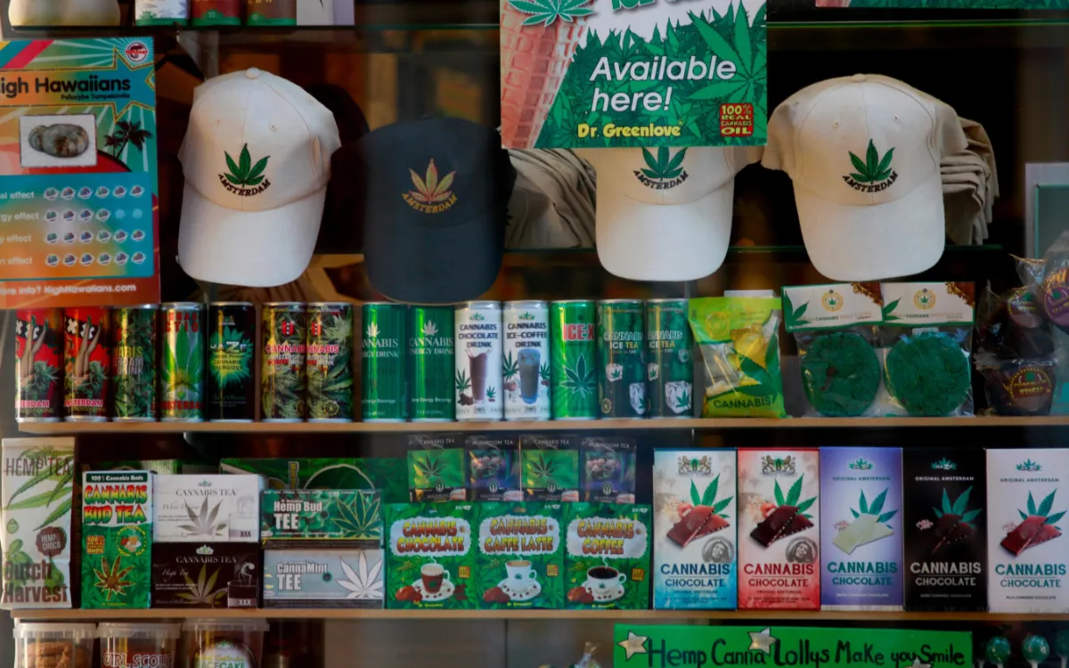 Cannabis legal en los Países Bajos : los fumadores abandonan el "made in Morocco