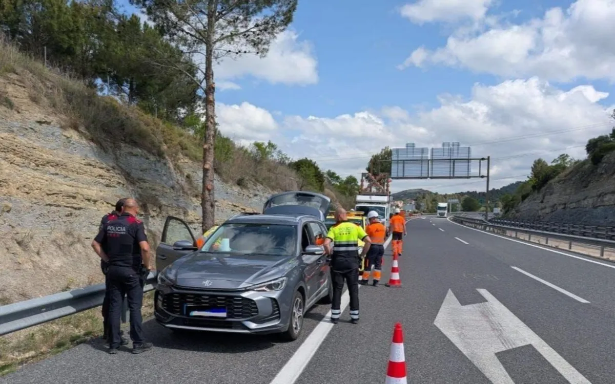 Carretera Francia-Marruecos : Se Desliza Bajo el Coche, el Gato Cede