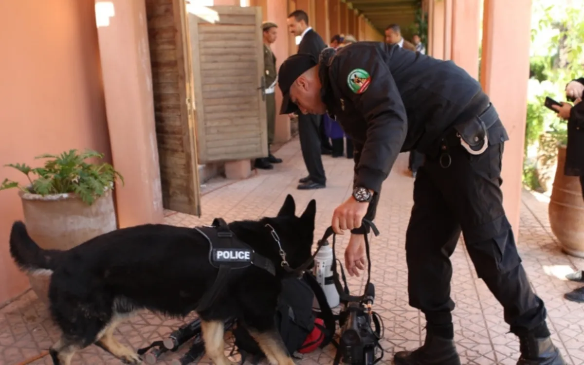 Coches robados, blanqueo de dinero, armas : un francés capturado en Casablanca