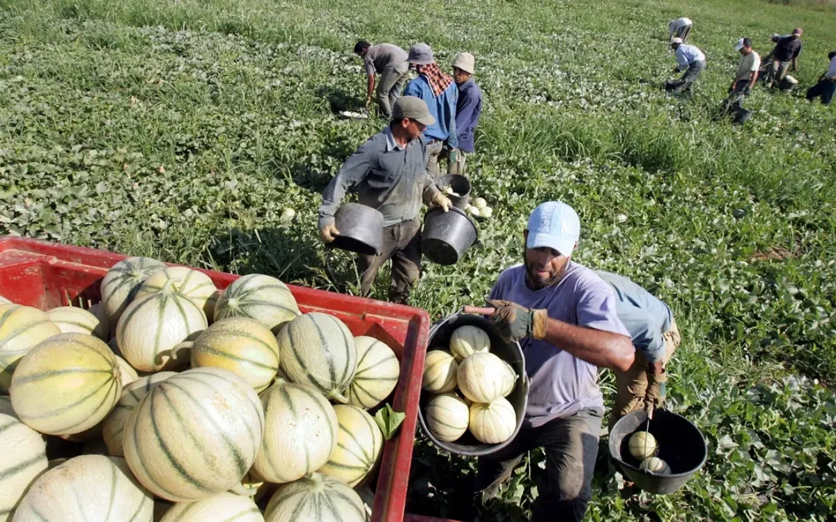 Marroquíes en el extranjero : Ventajas fiscales en donaciones inmobiliarias familiares