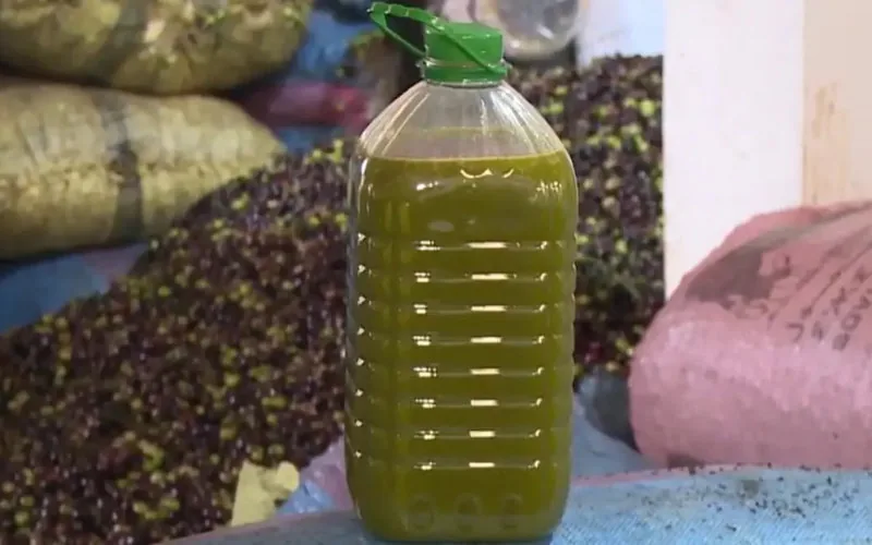 Crisis del aceite de oliva en Marruecos : precios récord y temor a fraudes