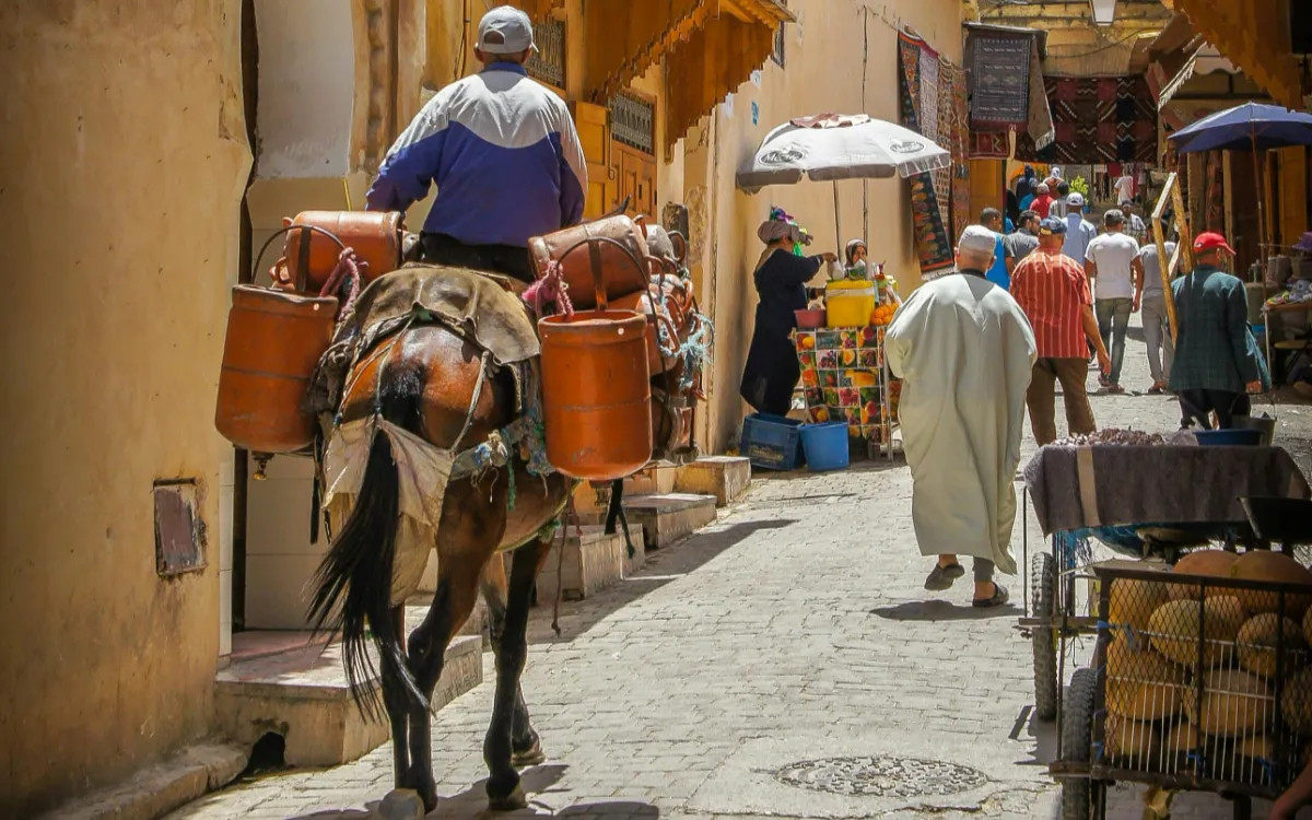 La depresión podría costarle a Marruecos más de 21.000 millones de dólares