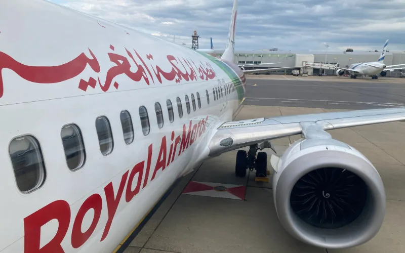 Escándalo aéreo : Royal Air Maroc desmiente invasión de cucarachas en vuelo Casablanca-Mánchester