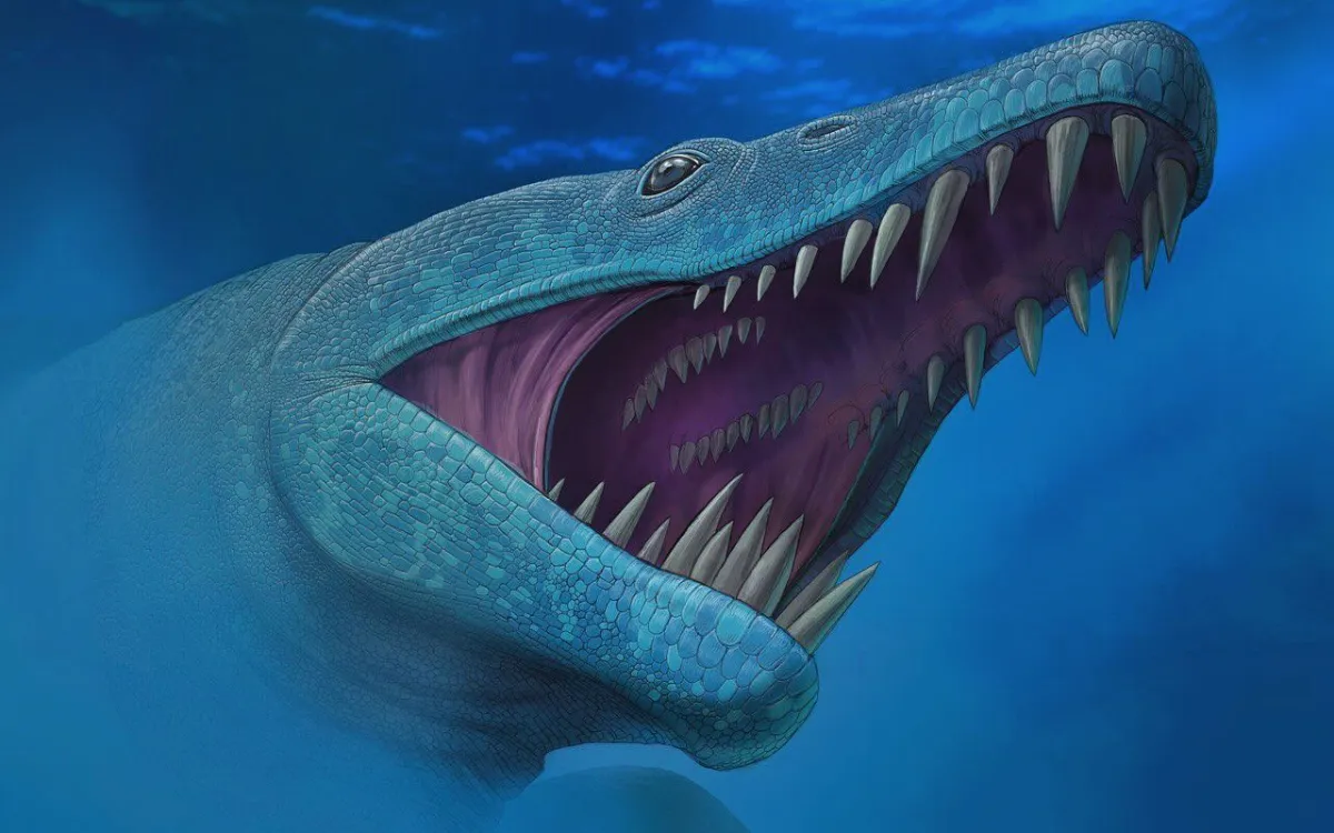 Este depredador de dientes de daga dominaba los mares marroquíes antes de los dinosaurios