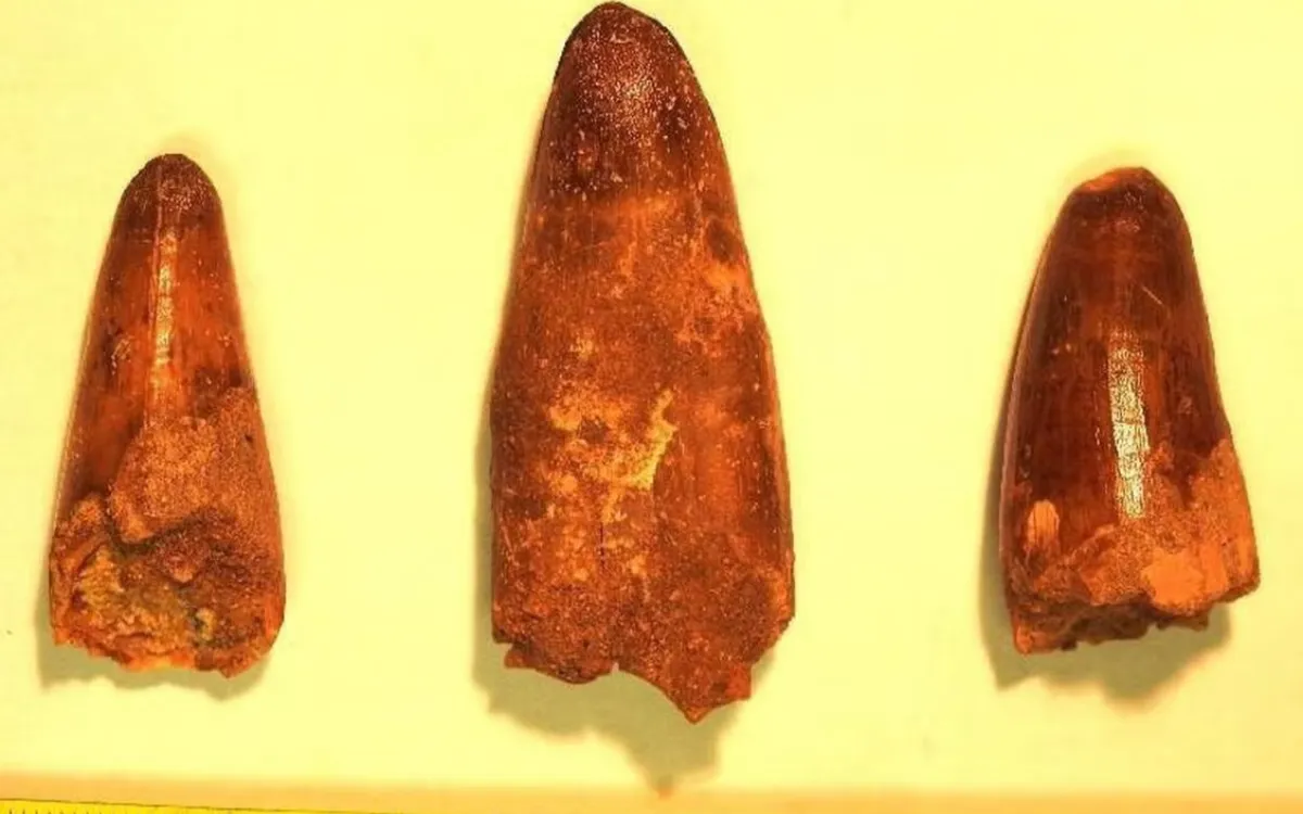 La Francia devuelve un tesoro prehistórico a Marruecos