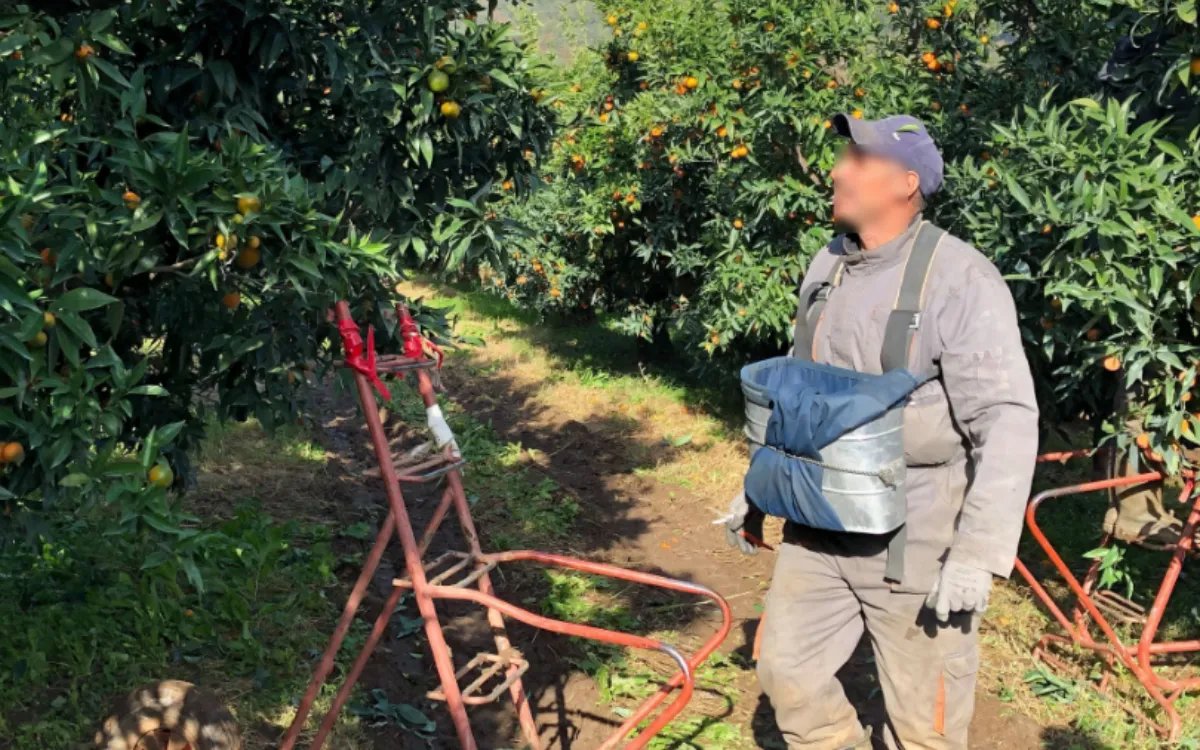 Francia : marroquíes pagaban 10 000 euros para trabajar