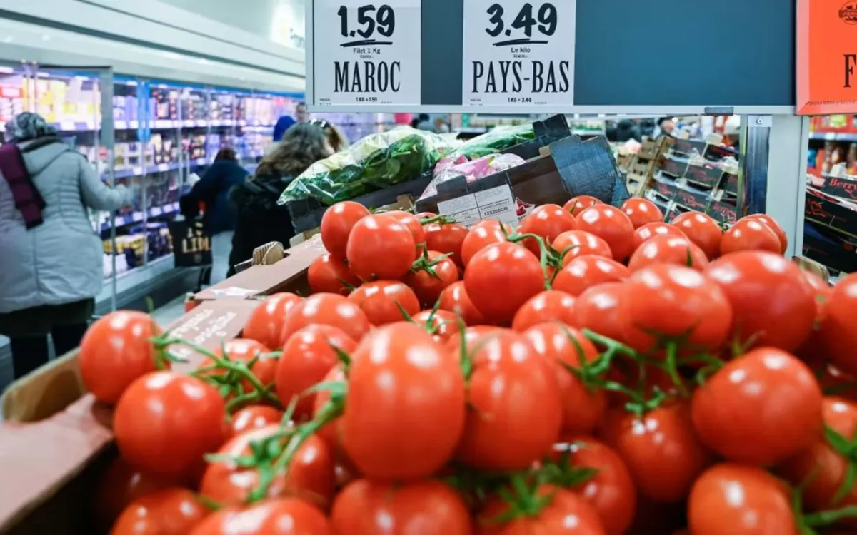 El "Made in Morocco" arrasa en Europa : Cómo el tomate marroquí pisotea a España