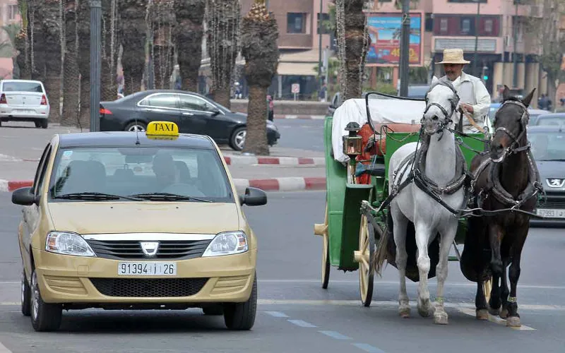 Marrakech : Aumento de tarifas de taxis desata polémica y reclamos ciudadanos