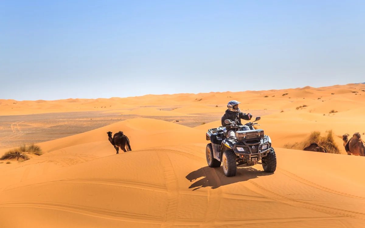 Marrakech y Merzouga registran una gran afluencia para Año Nuevo : las reservas alcanzan niveles récord