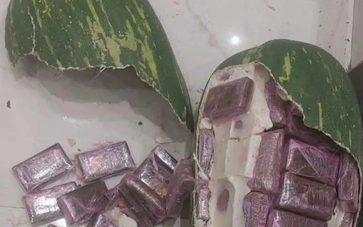 Marruecos : 700 kg de hachís disfrazados de sandías