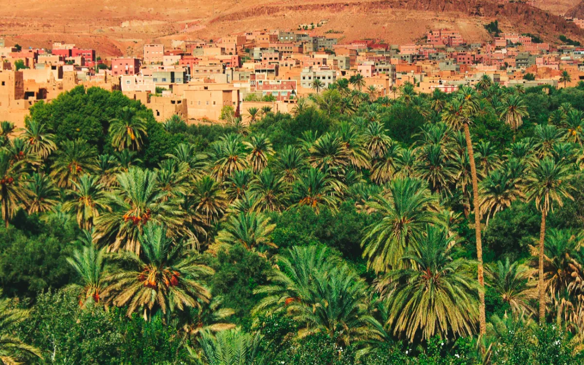 Marruecos : La actividad económica debe su salvación a los campos