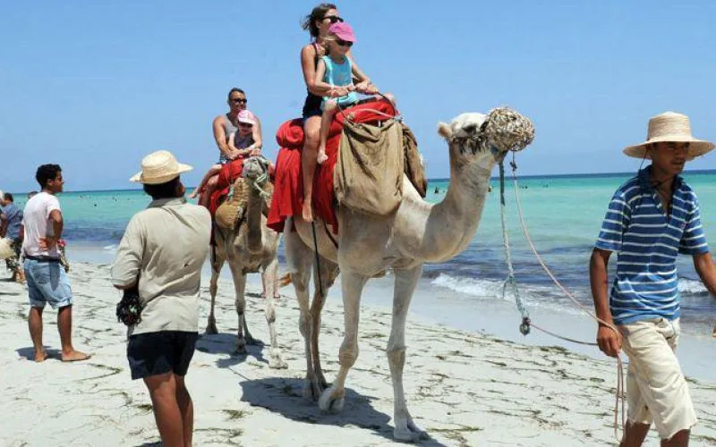 Marruecos : Boom turístico récord choca con caída de ingresos en 2024