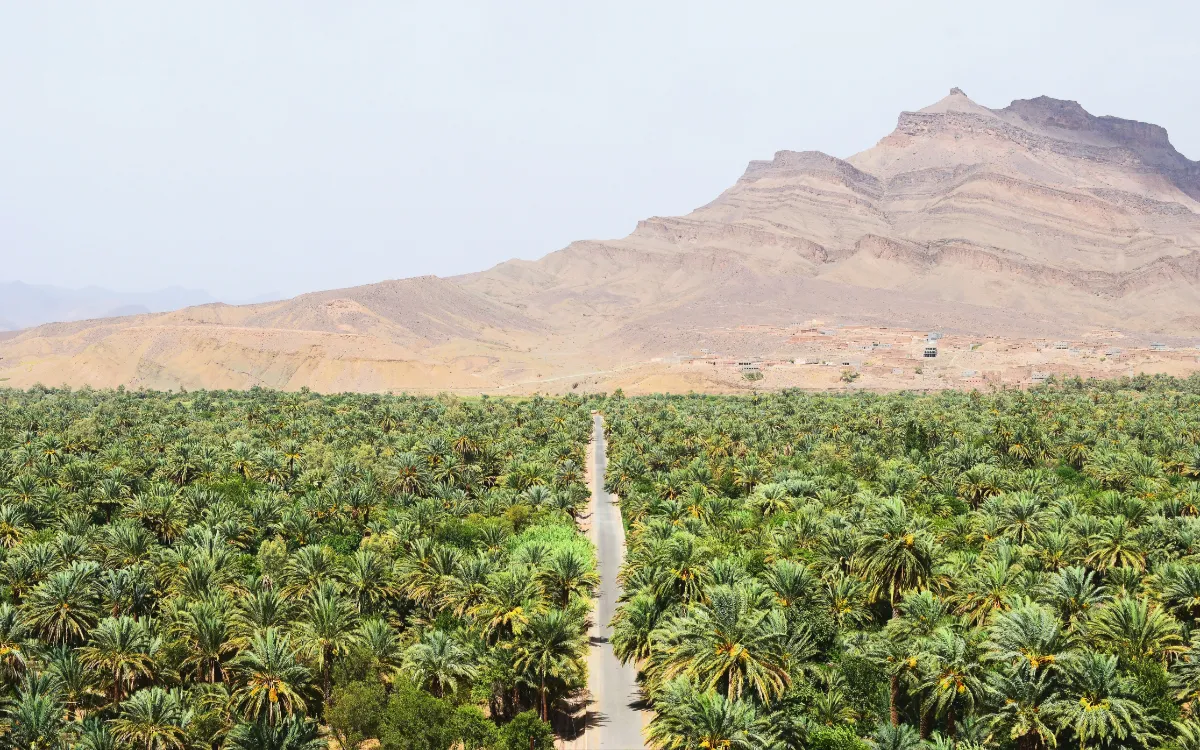 Marruecos : la clasificación verde que duele frente a sus vecinos