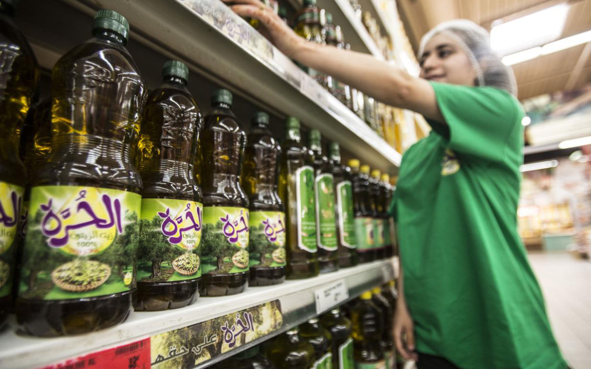 "Marruecos conquista paladares americanos : Aceite de oliva marroquí se abre paso en EE.UU."
