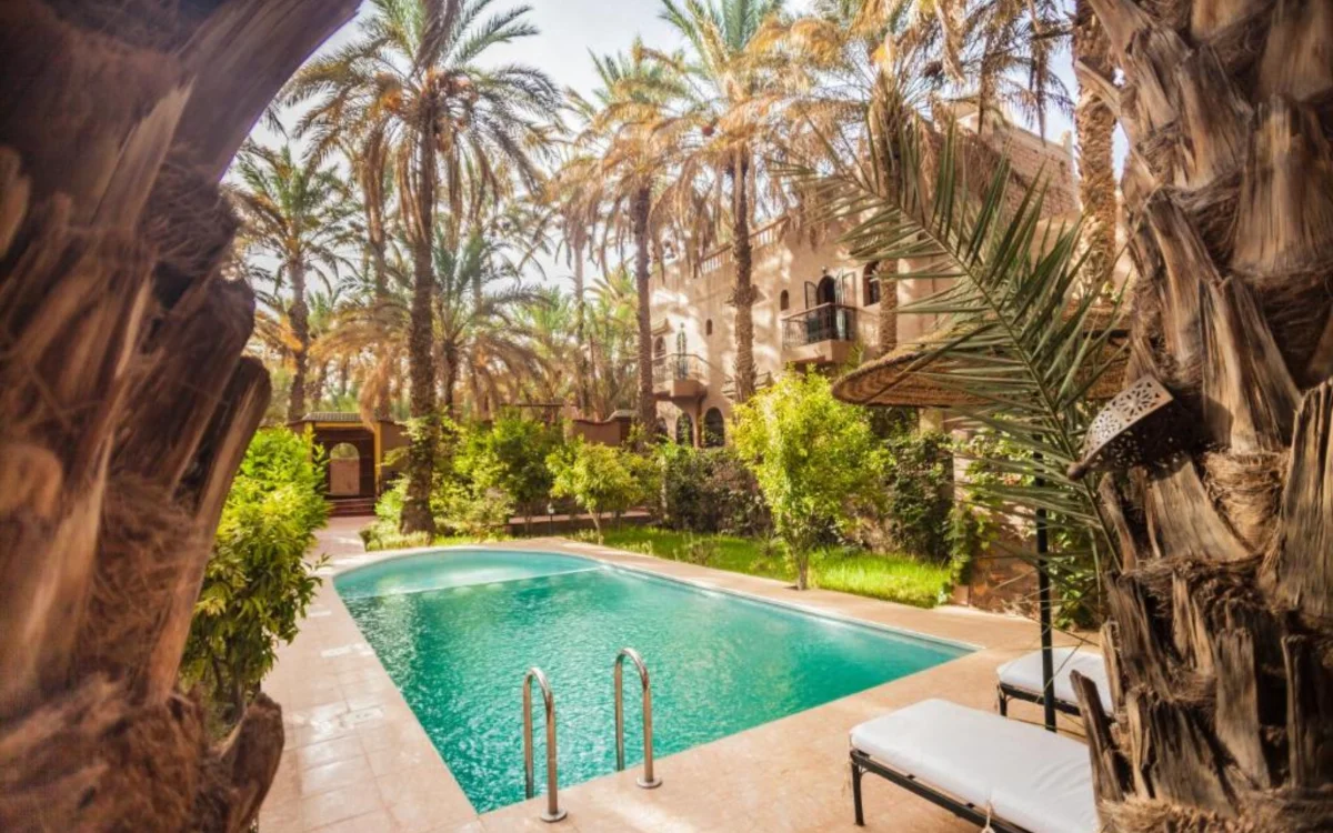 Marrakech, Fez y Agadir : Los destinos marroquíes que conquistan a los viajeros franceses en 2025