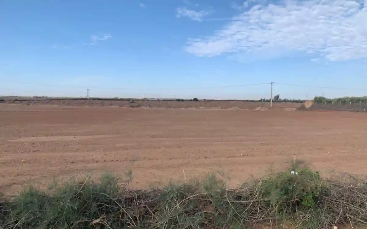 Dramático rescate aéreo : Marroquí sufre ataque cardíaco en ferry y es evacuado en helicóptero