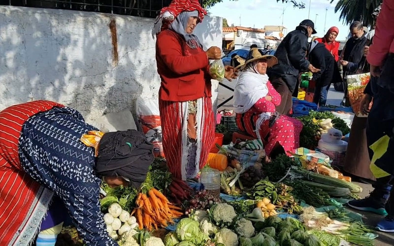 Marruecos impulsa plan agrícola para frenar la inflación y asegurar abastecimiento