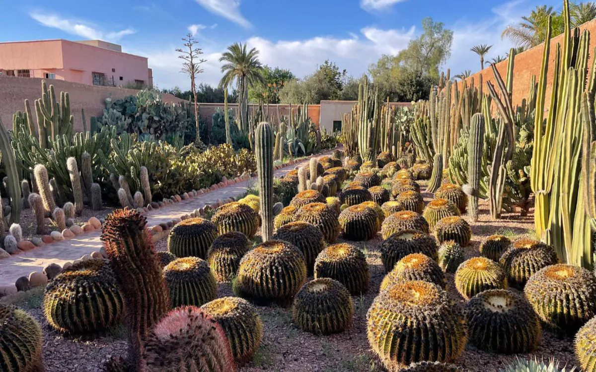 Marruecos : el misterioso jubilado de Marrakech era buscado en todo el mundo