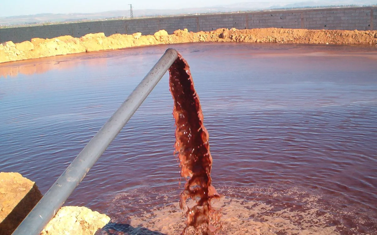 Marruecos : el Oro verde se transforma en un desastre ecológico