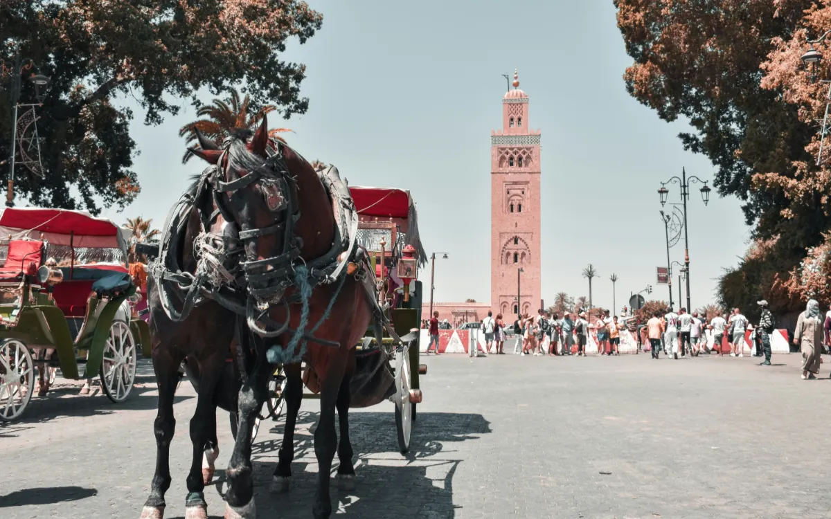 Marruecos, Refugio Preferido de Criminales Franceses
