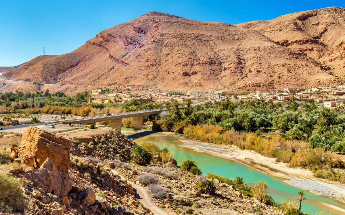 En Marruecos, el suelo alcanza los 50 °C y la vegetación reduce la temperatura en más de 5 °C