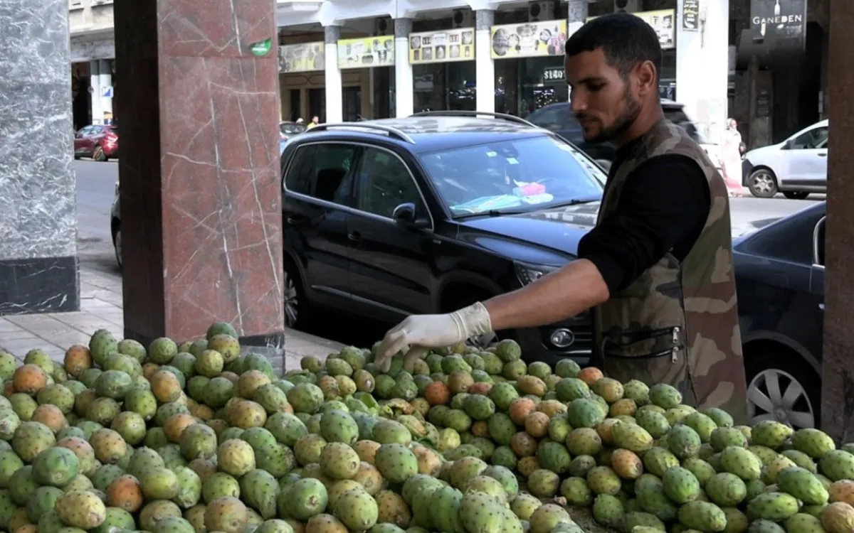 Marruecos : la tuna se convierte en un producto de lujo