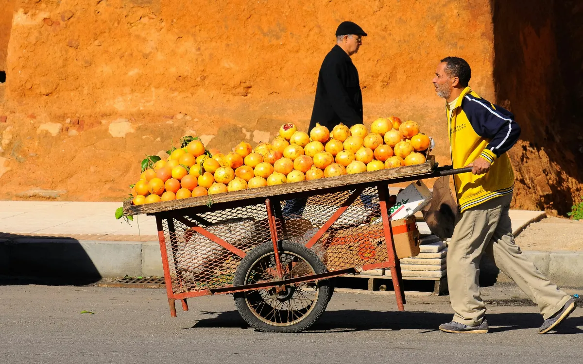 Marruecos : las verduras se desploman, el pescado se dispara