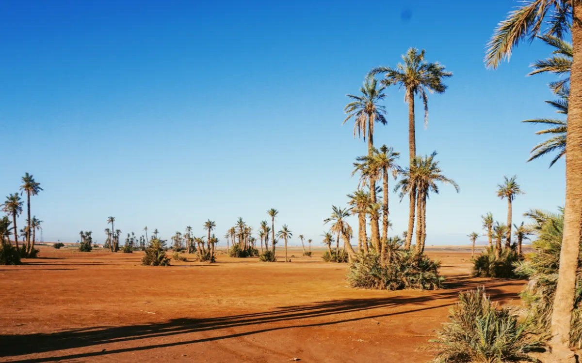 Marruecos Ya No Quiere Depender de la Lluvia