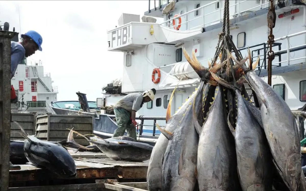 Pesca marítima en Marruecos : el agotamiento de stocks amenaza al principal exportador africano