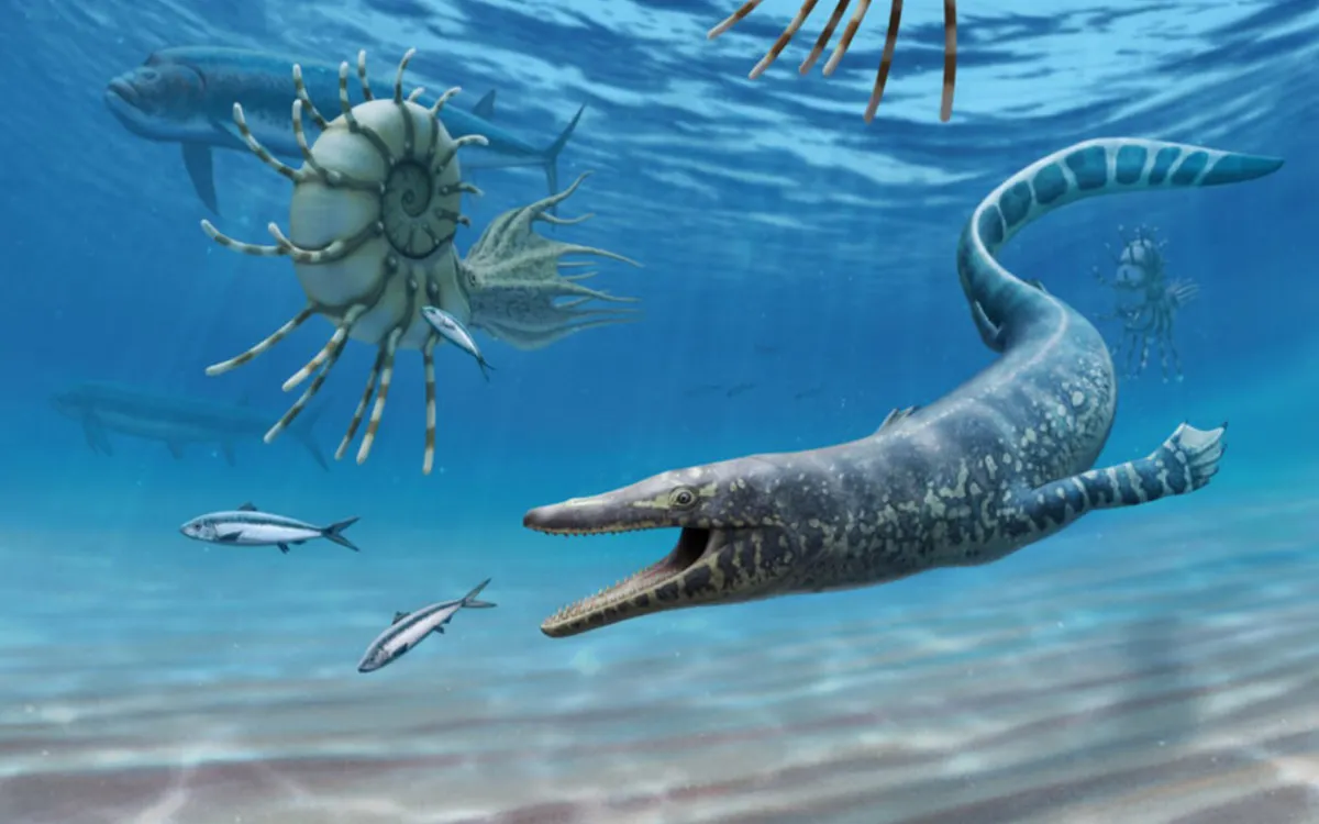El Pluridens imelaki, un monstruo gigante de 9 metros descubierto en Marruecos