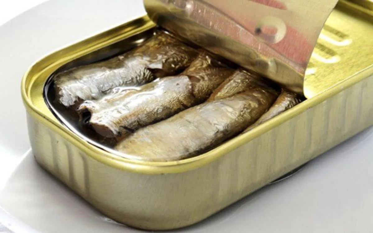 Sardina en conserva : Marruecos inunda el mundo con 15.000 toneladas y aplasta a la competencia