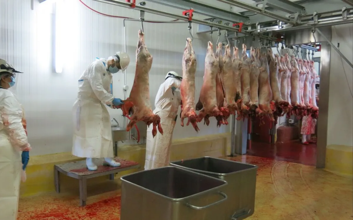 ¿Se celebrará el Eid al-Adha este año en Francia ?