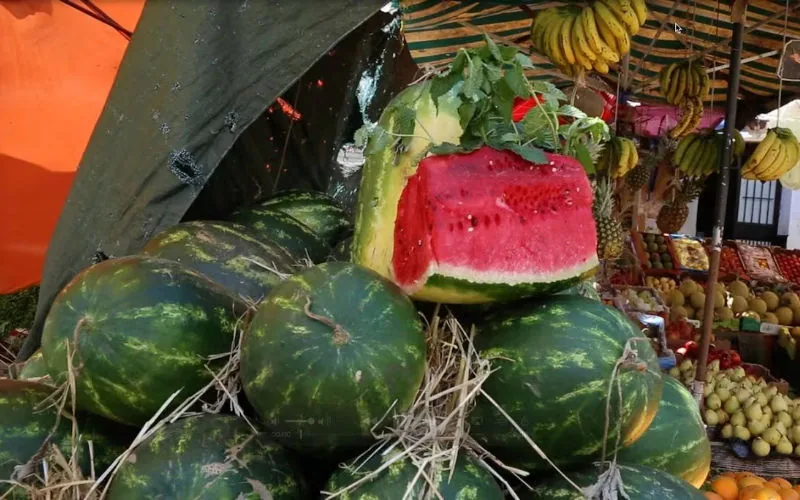 Sequía en Marruecos : Gobierno restringe cultivo de sandía para preservar agua