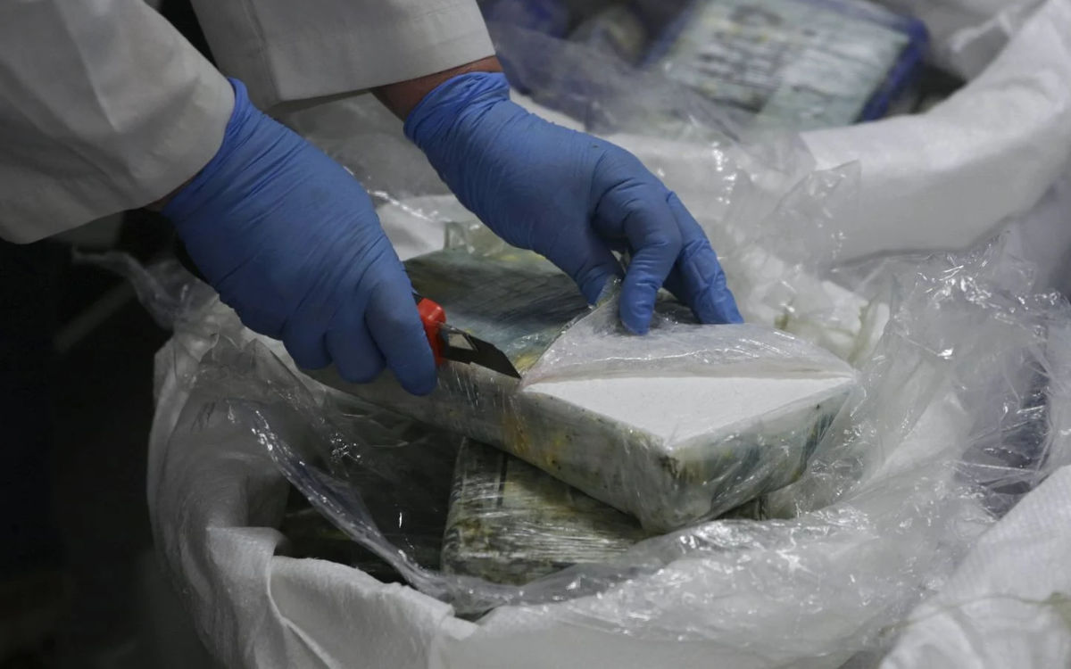 Tanger Med : incautación de hachís oculto en cajas de pescado con destino a Algeciras