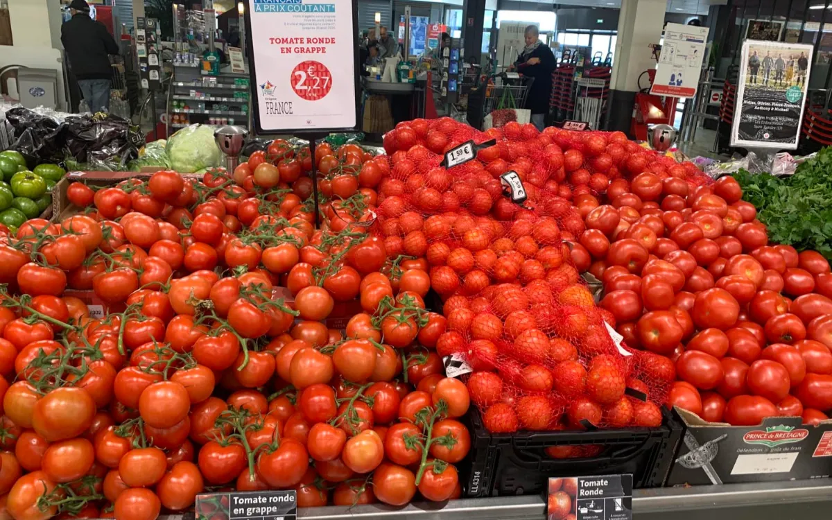 Tomates marroquíes : los productores franceses pierden terreno