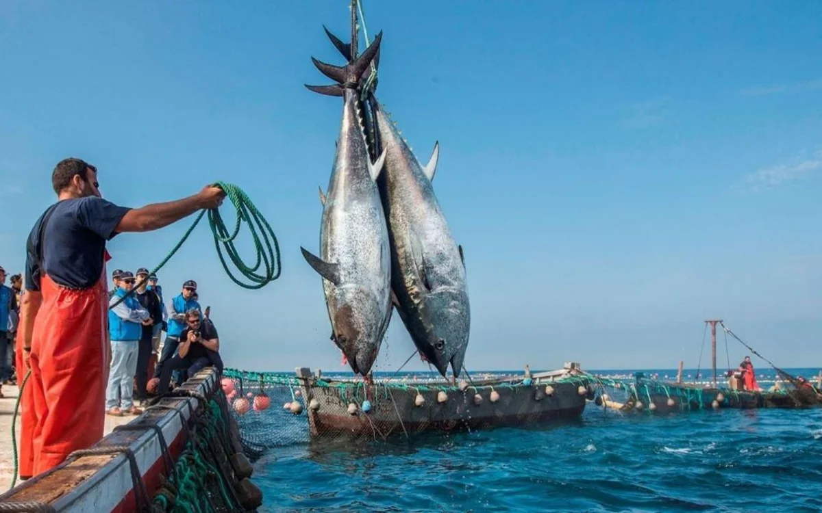 La Unión Europea quiere relanzar el acuerdo de pesca con Marruecos