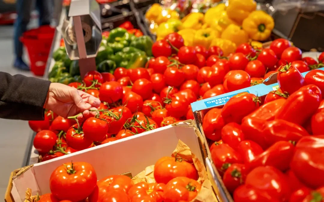El kilo de tomates marroquíes roza los 100 dirhams … en los Países Bajos
