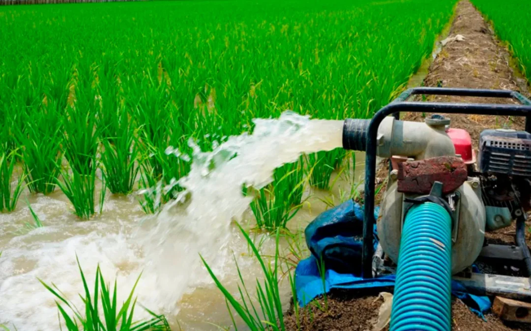 En Marruecos, los agricultores serán vigilados ahora hasta en sus bombeos de agua