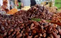 De 25 a 220 dirhams el kilo de dátiles : ¿por qué tanta diferencia en Casablanca ?