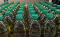 Aceite de oliva : las importaciones marroquíes se desploman