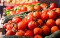 Acuerdo histórico : Francia y Marruecos pactan regular el mercado del tomate