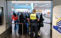 Aduanas belgas descubren tortugas protegidas en maleta de turista holandés